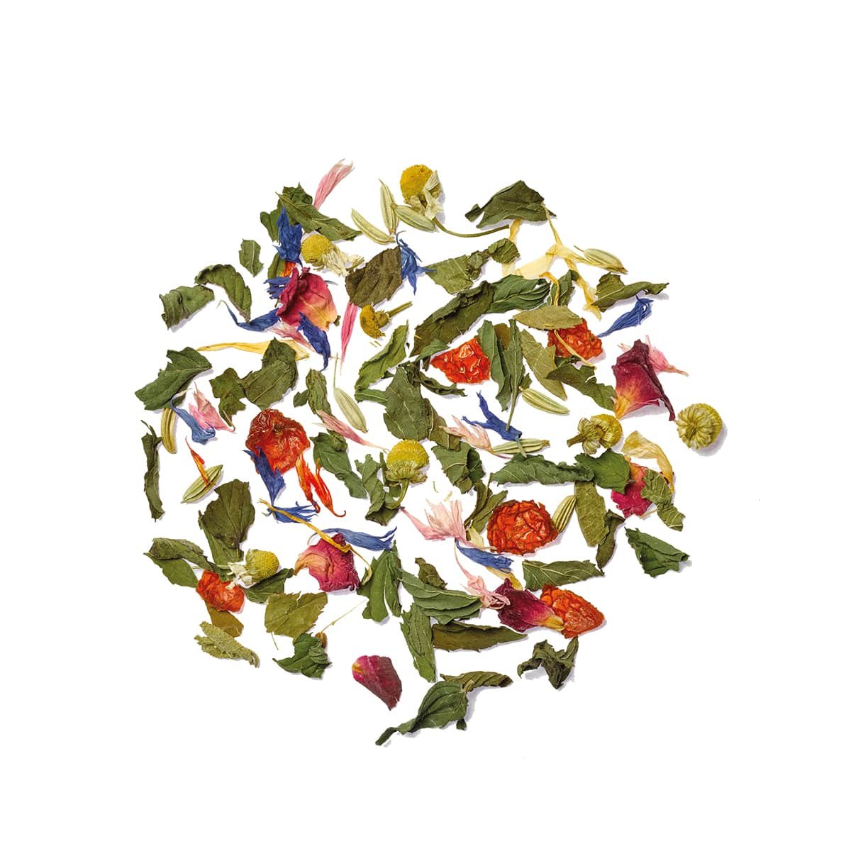 Classic Herbs - Image 4