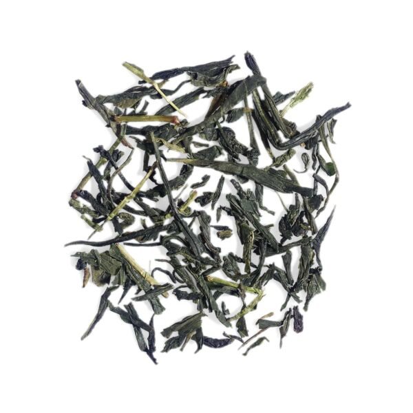 Sencha Supreme - Image 2