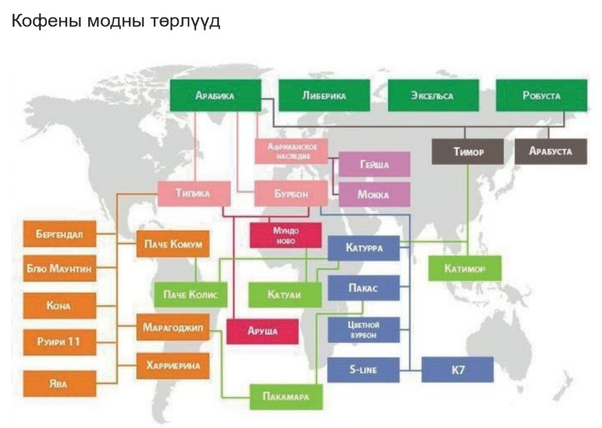 баристагийн гарын авлага 